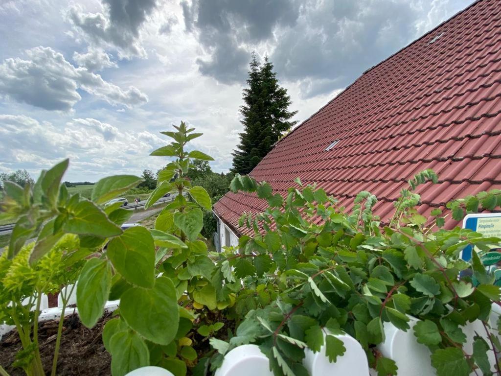 Familienhof Mueritz Appartement Klein Plasten Buitenkant foto