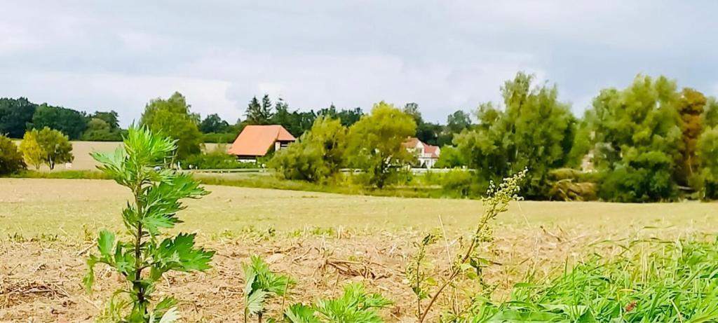 Familienhof Mueritz Appartement Klein Plasten Buitenkant foto