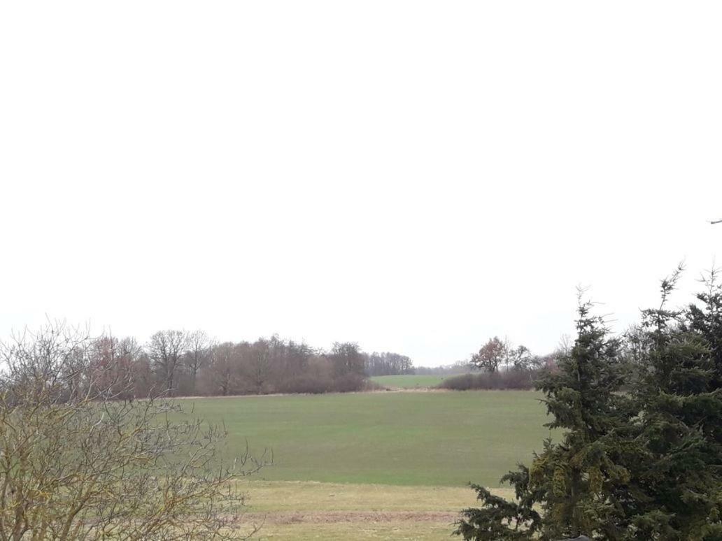 Familienhof Mueritz Appartement Klein Plasten Buitenkant foto